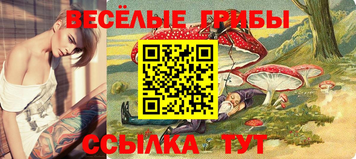 Бузулук  Псилоцибиновые грибы Magic Shrooms  Вход с VPN 