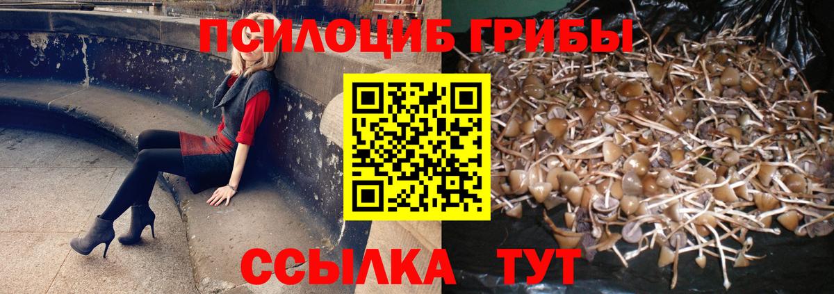  КОКАИН Бузулук