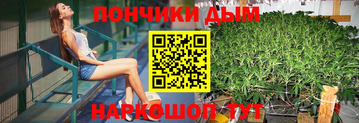 Бошки марихуана марихуана  Вход с VPN  Конопля THC 21%  Бузулук  Марихуана Ganja  Конопля марихуана 